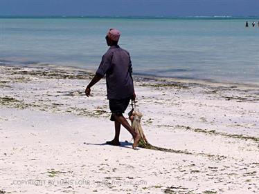 Beach walk, Zanzibar, DSC07191b